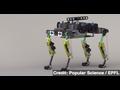 News video: Scientists Build Robot Designed to Run Like a Cat
