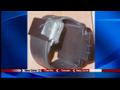 News video: Renz case leads State Senate to pass Bill 6-18-13